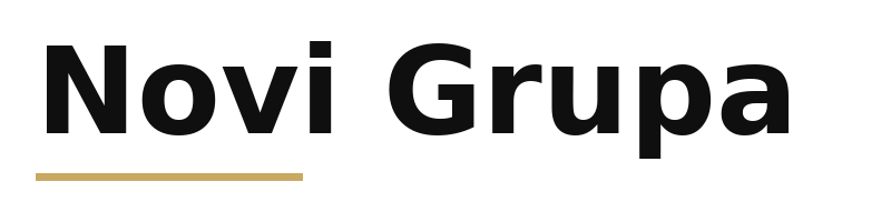 Novi Grupa logo